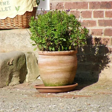 Hébergement de vacances Maison De 4 Avec Jardin Amenage Et Wifi A *