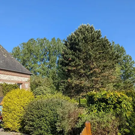 Maison De Charme à Avec Jardin Non Clôturé Сasa de vacaciones Berville-en-Caux